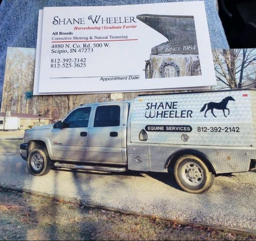 Visit Shane Wheeler