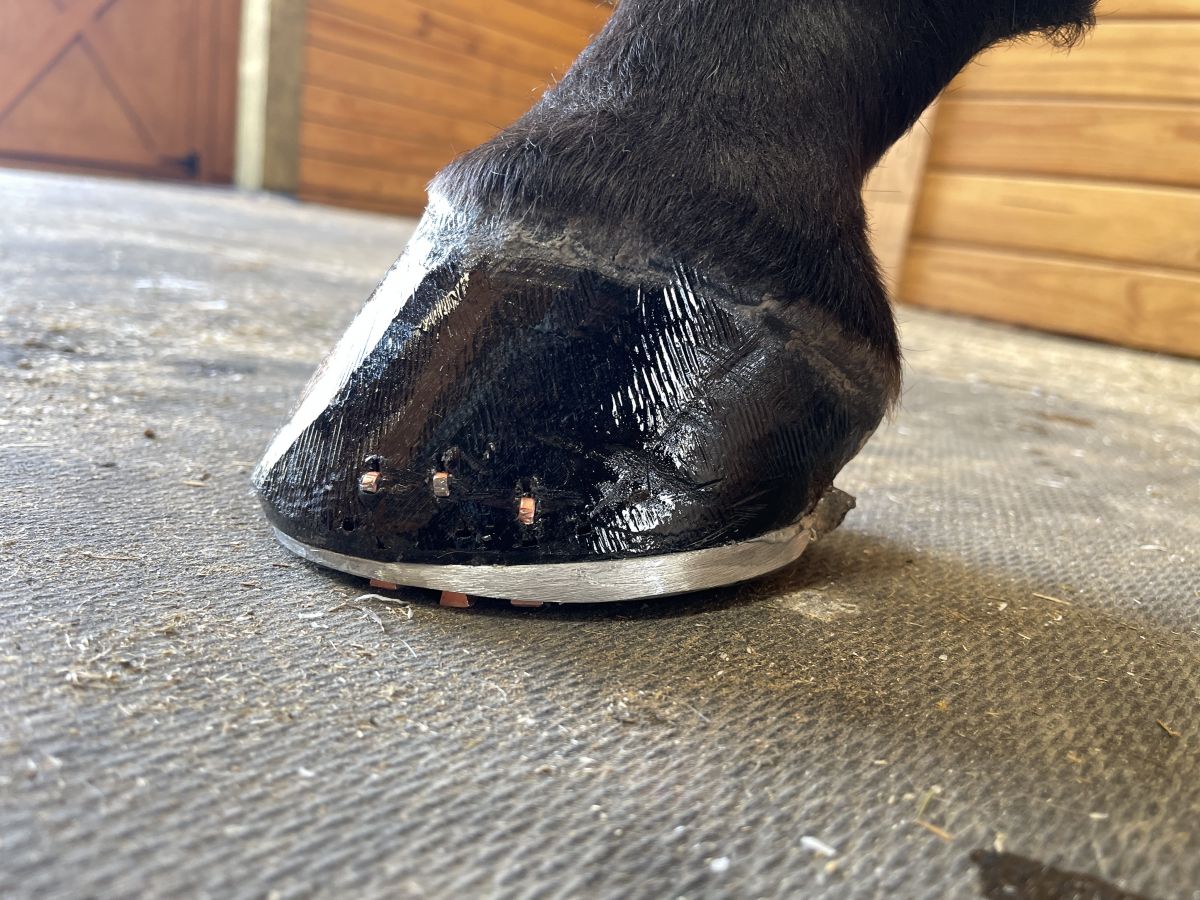 Visit JB Farrier Service