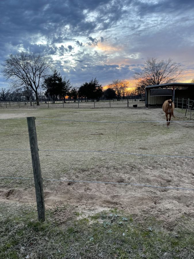 Visit On Course Equestrian