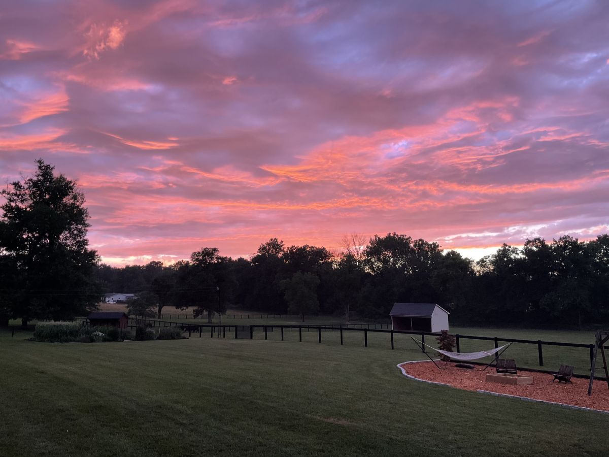 Visit Maple Grove Horse Farm