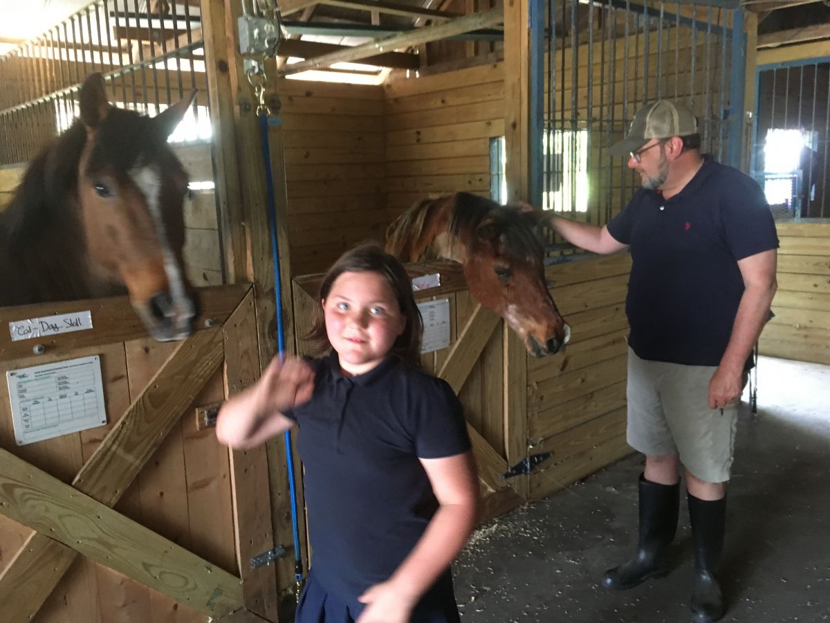 Visit Thumbs Up Riding School
