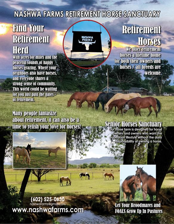 Visit Arizona RETIREMENT HORSES Sanctuary