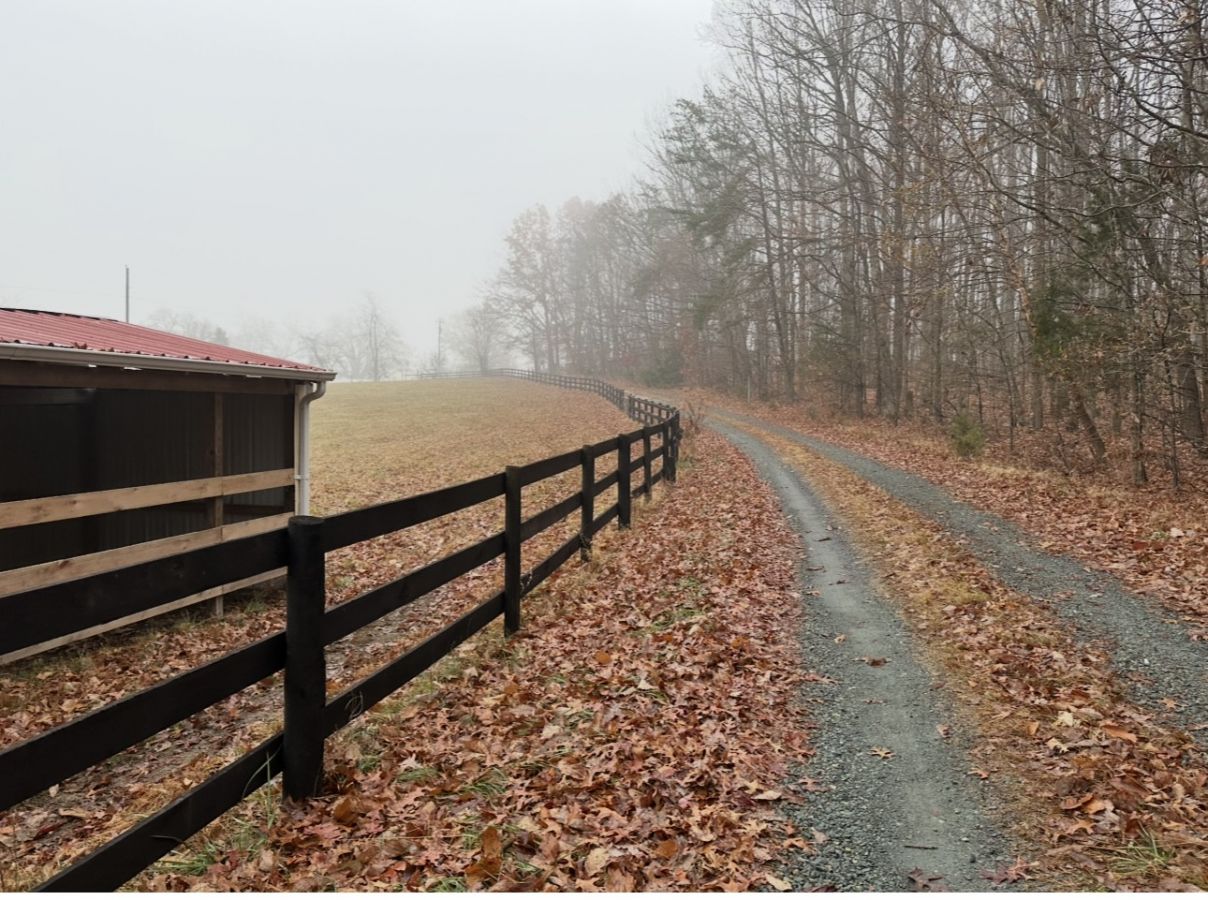 Visit Fox Hollow Farm Horse Boarding in Palmyra, VA
