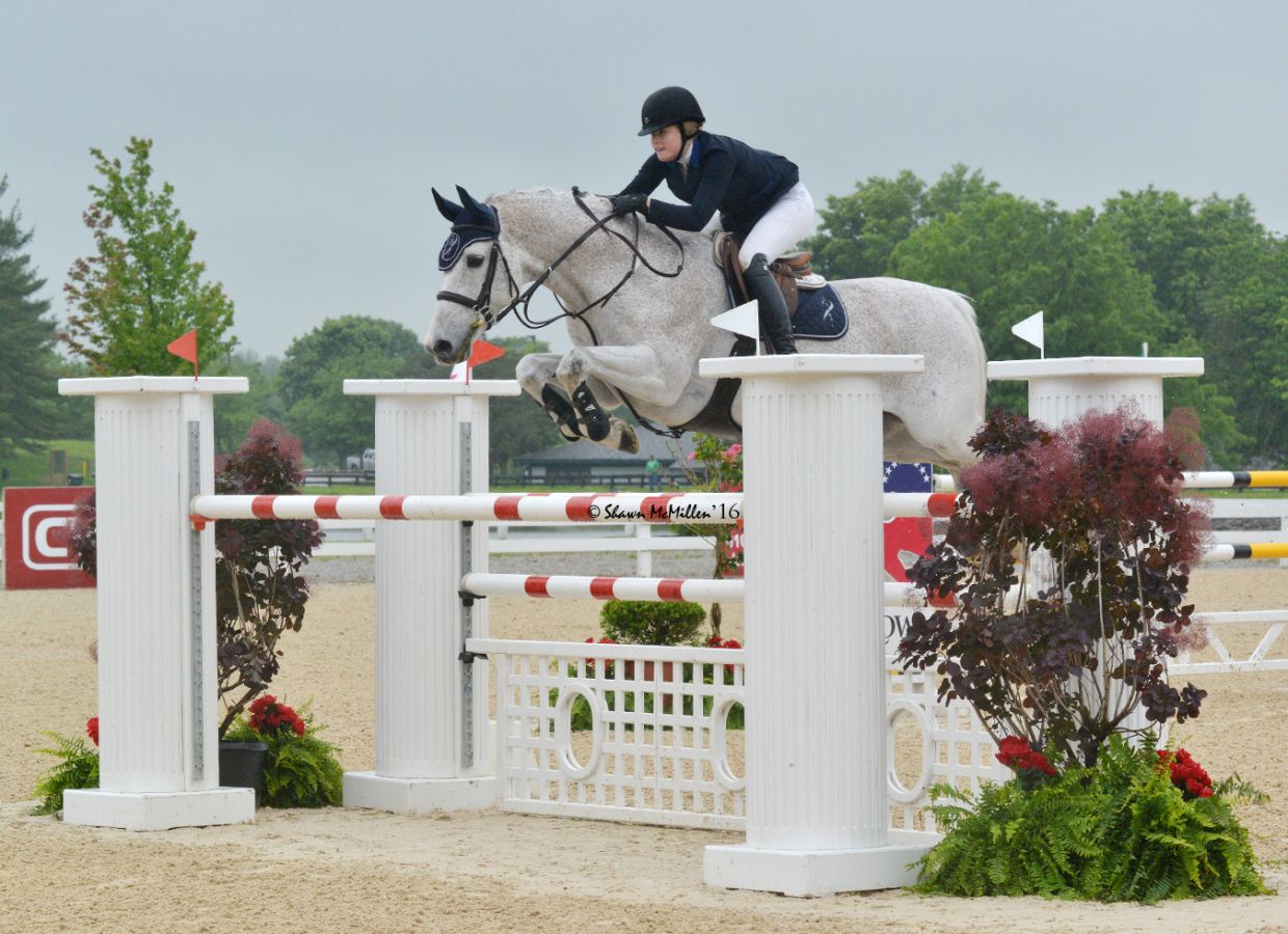 Visit Equine Odyssey, LLC - Dana Wille