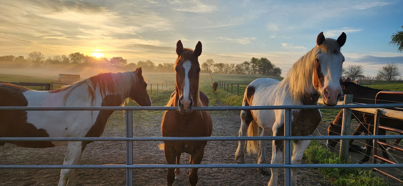 Visit 10 Oaks Ranch