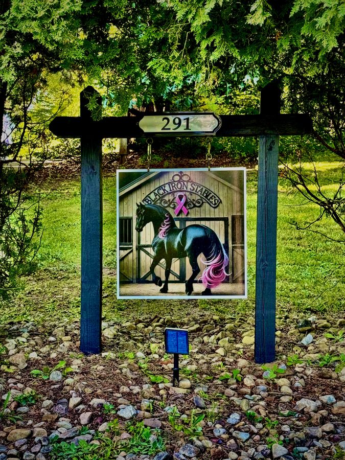 Visit Black Iron Stables