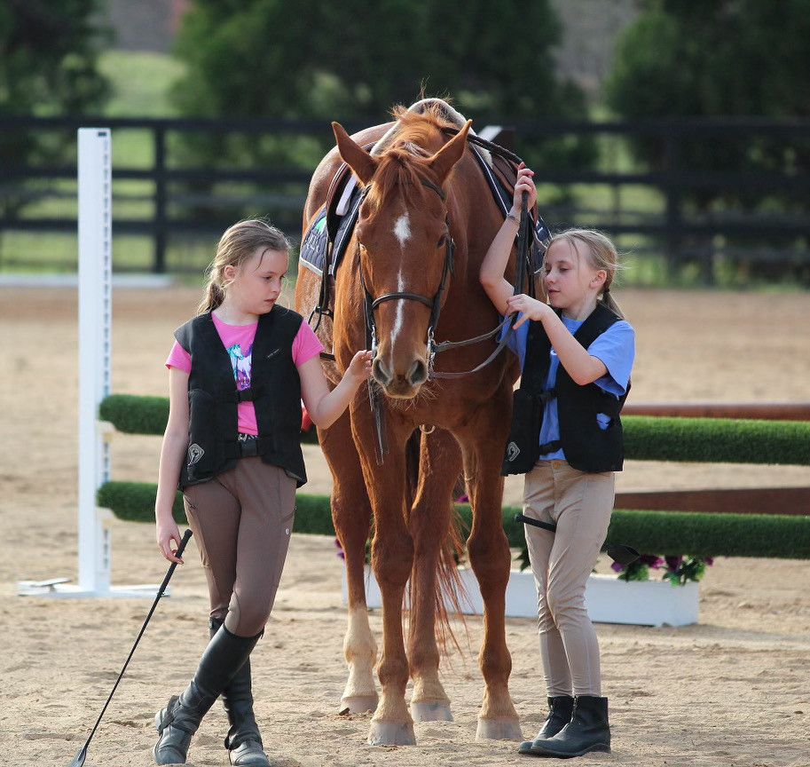 Visit Double O Sporthorses