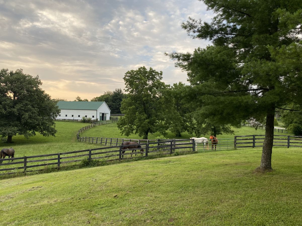 Visit Elkhorn Creek Stable