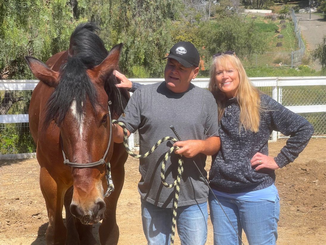 Visit Soft Touch Equine