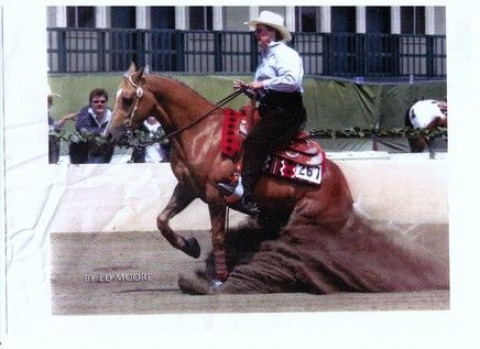 Visit King Performace Horses