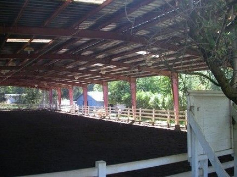 Visit Equine Sports Complex