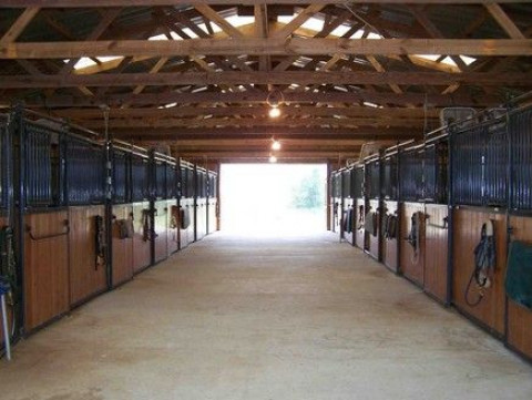 Visit SaddleBack Equestrian