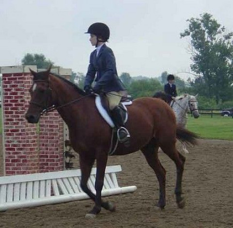 From Preschool Dodge Collier's Lane Inc. Hunter Jumper Lessons - Riding Instructor in Sheridan,  Indiana
