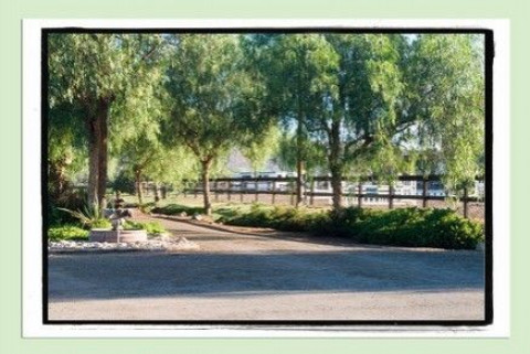 Visit Pepper Creek Equine Center