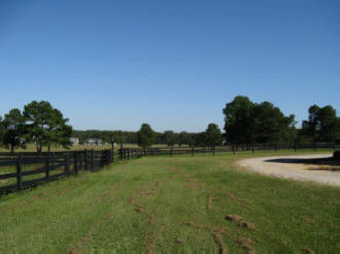 Visit G & I Broodmare Farm