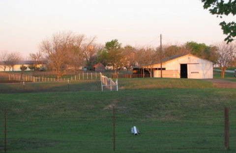 Visit Charlie Horse Equestrian Center (CHEC)