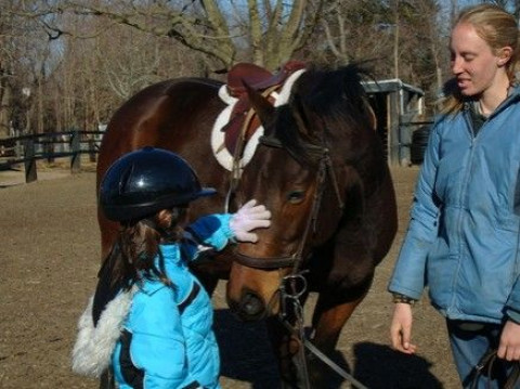 Visit Winner's Circle Horse Farm