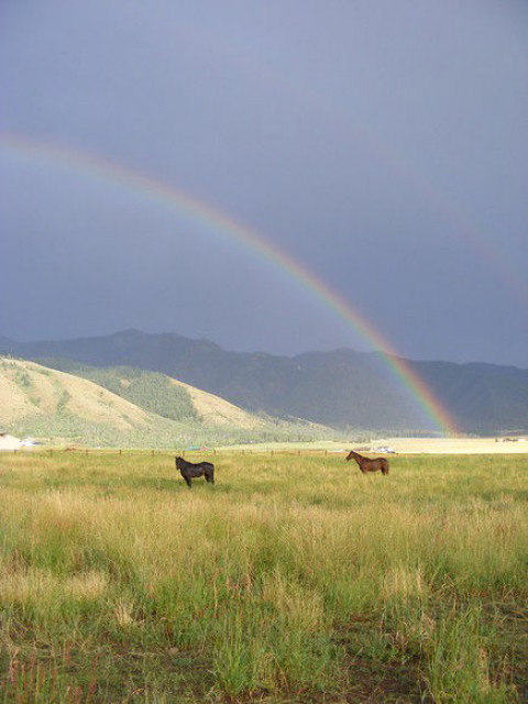 Visit Hawk's Rest Ranch