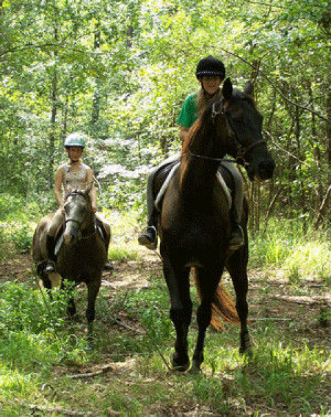 Visit Edgebrook Equestrian Center