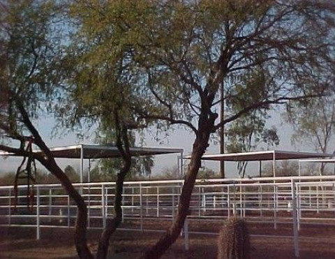 Visit 5 Acre Farms
