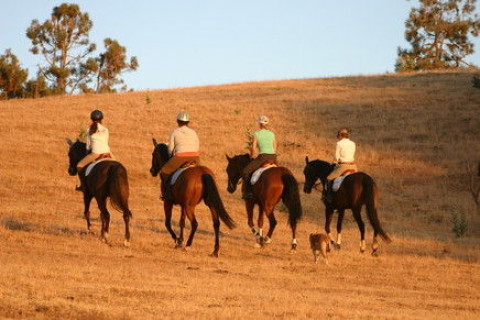 Visit SassaBella Riding Club