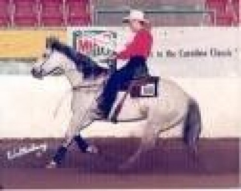 Visit PD Equine Services
