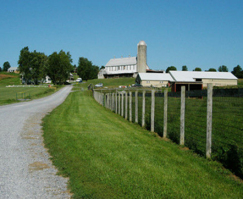 Visit STAR Equestrian Center