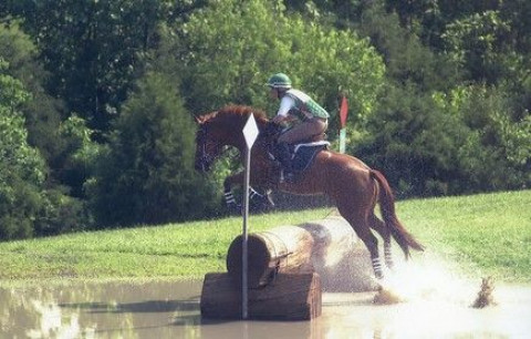 Visit Miller Eventing