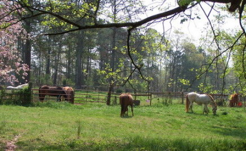 Visit Woodcrest Farm