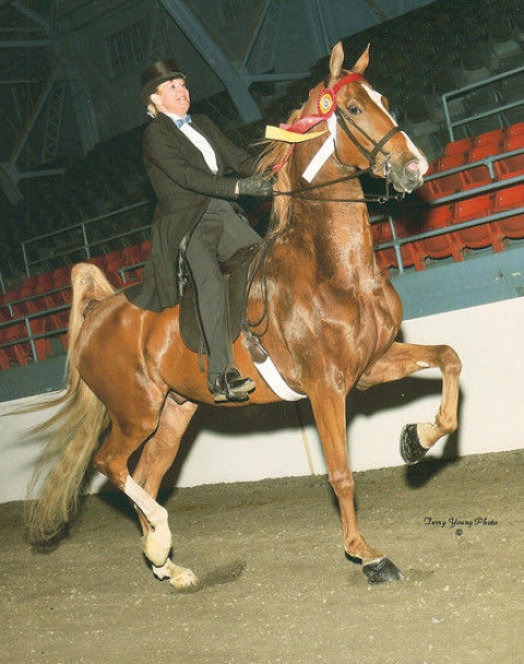 Visit Hillcrest  Equestrian Center