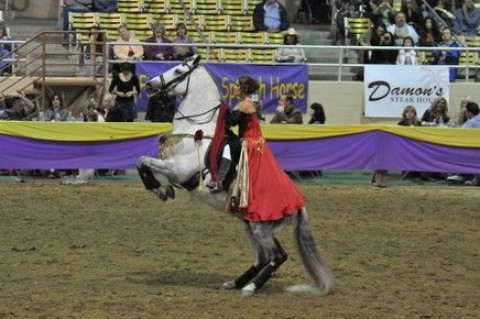 Visit Renaissace Equestrain Center