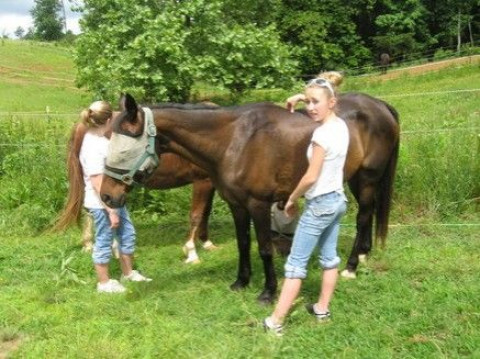 Visit Whinny HiLL Farm