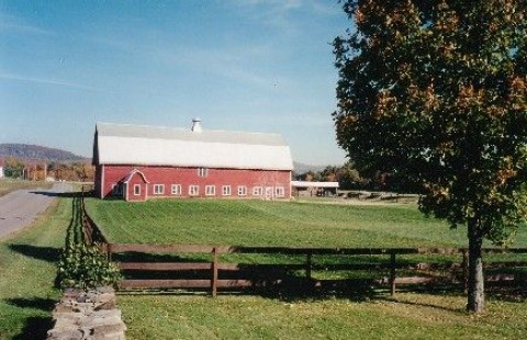 Visit Frogs Leap Farm