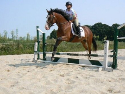 Visit Rainbow Ridge Farm Equestrian Center