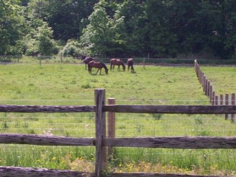 Visit Rainbow Ridge Farm Equestrian Center