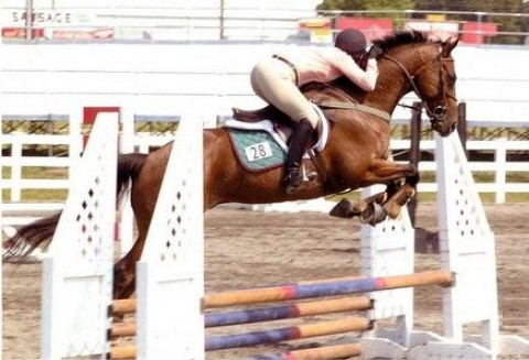 Visit Winter Haven Equestrian Center