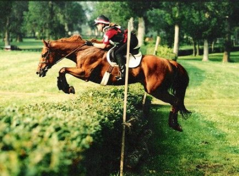 Visit Centaur Equestrian Center