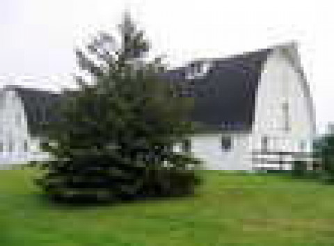 Visit Hoof Steps Training, LLC