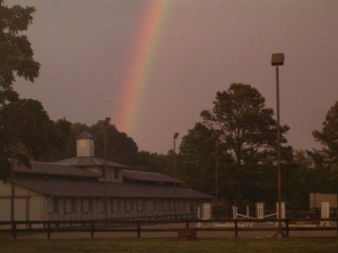 Visit Stonehouse Stables Inc.