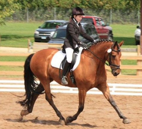 Visit Sunborn Stables, Inc