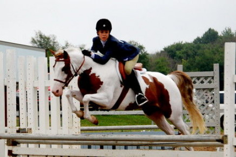 Visit Wildwind Equestrian Center