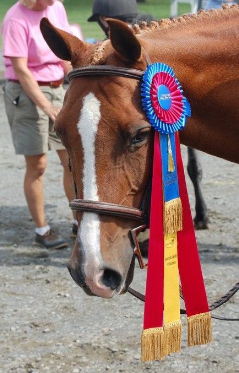 Visit Cornerstone Equestrian, Inc