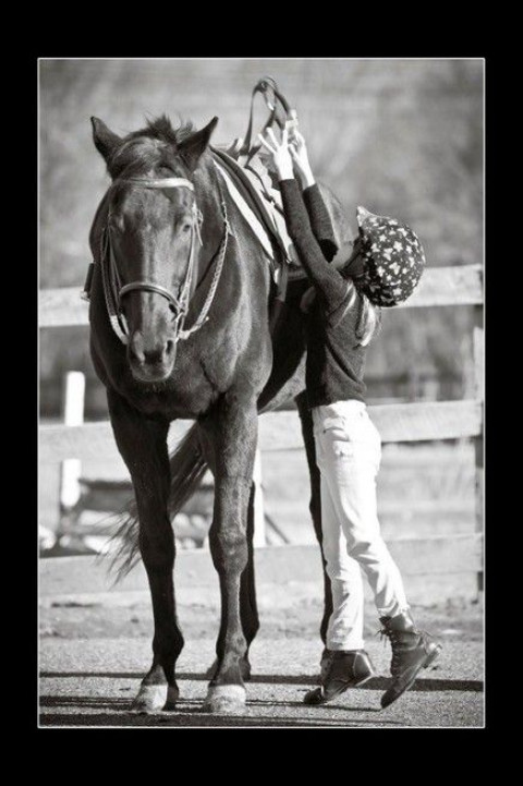Visit Cornerstone Equestrian, Inc