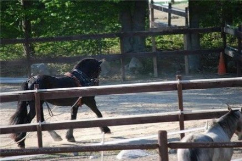 Visit SLEEPY HOLLOW FARM