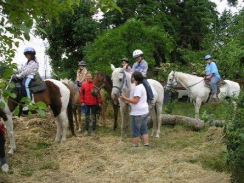 Visit Morris's Shadow Mt Stables