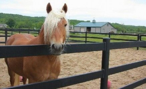 Visit Central Mass Fence