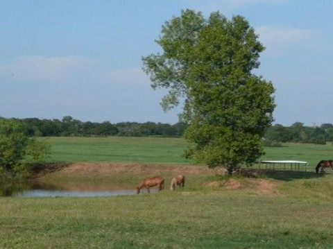 Visit 4 Daughters Ranch