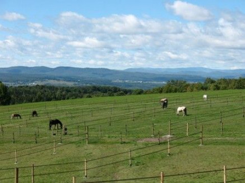 Visit East Hill Farm and Poulsen Dressage LLC