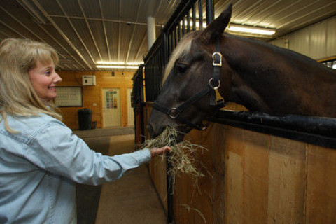 Visit The Stables on Horse Farm Road