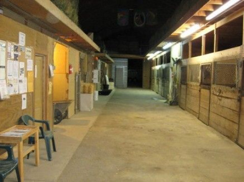 Visit Big Iron Ranch